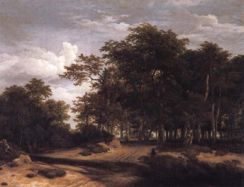 The Great forest, Jacob van Ruisdael